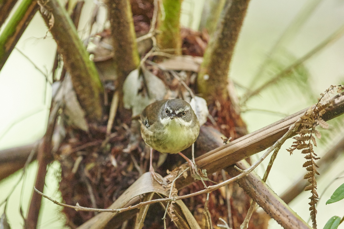 2025年雷克沙存储卡深度测评：硬件到体验的全面解析(图1)